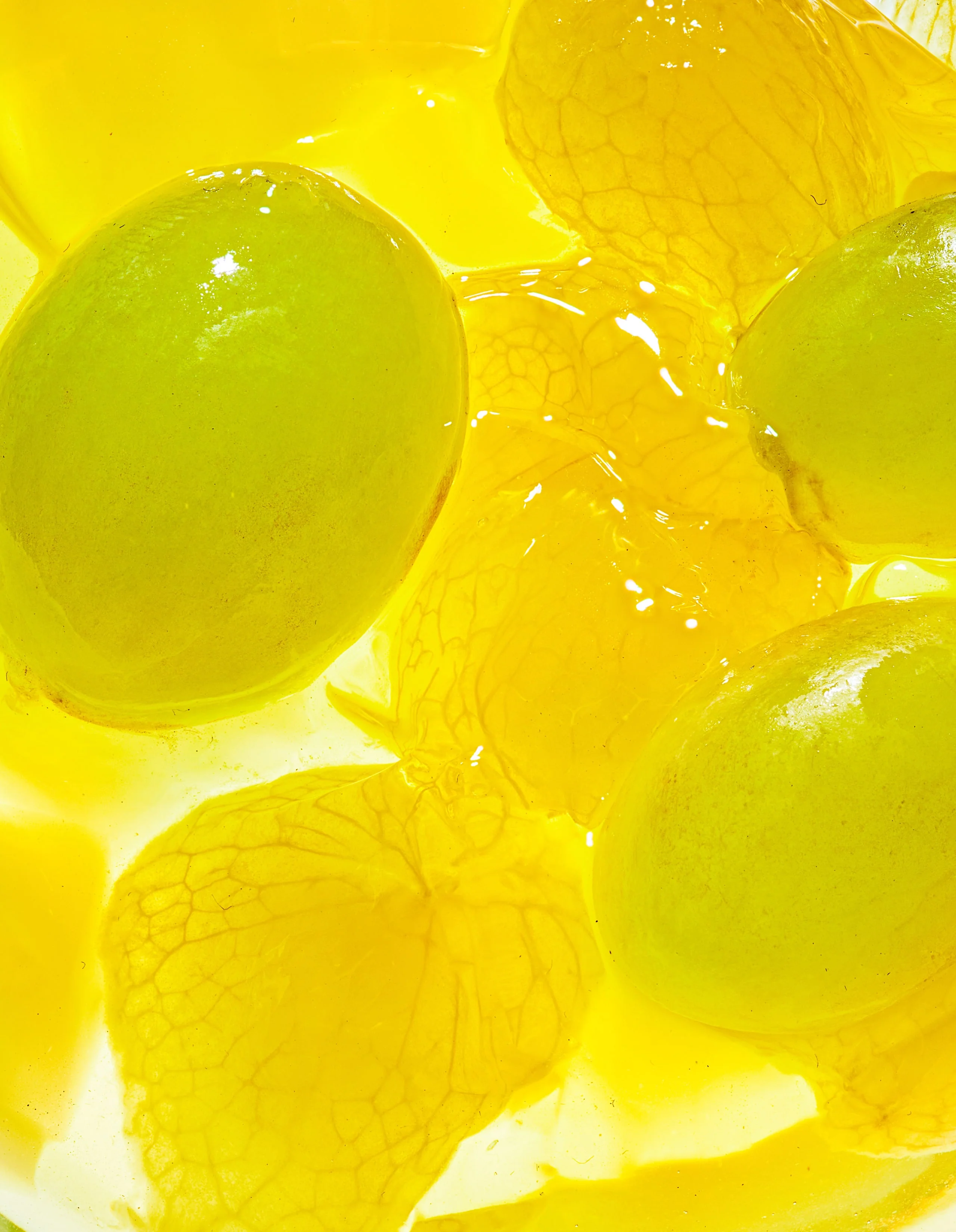 Aloe Grape Value Pack - Image 4