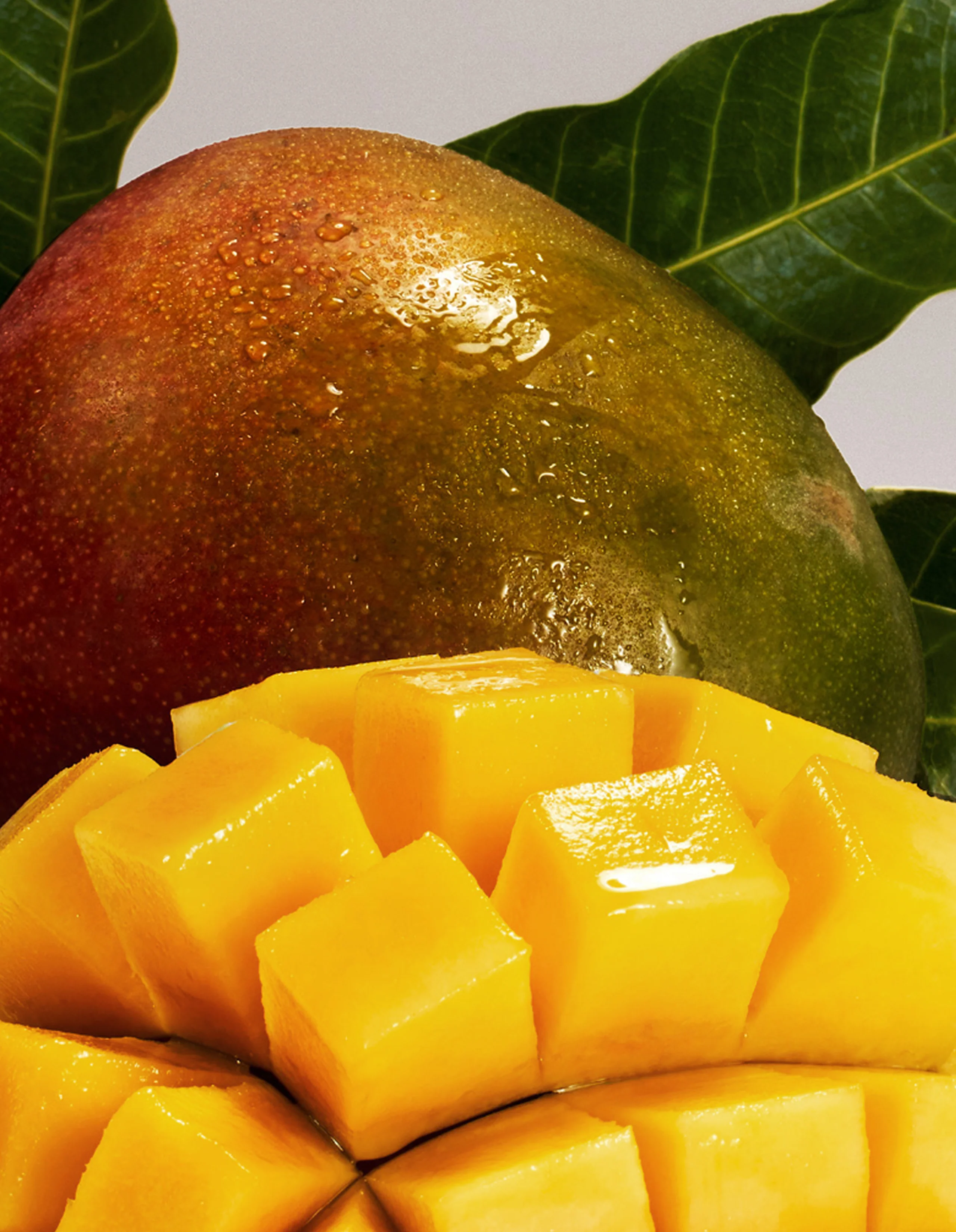 Apple Mango Mini - Image 3