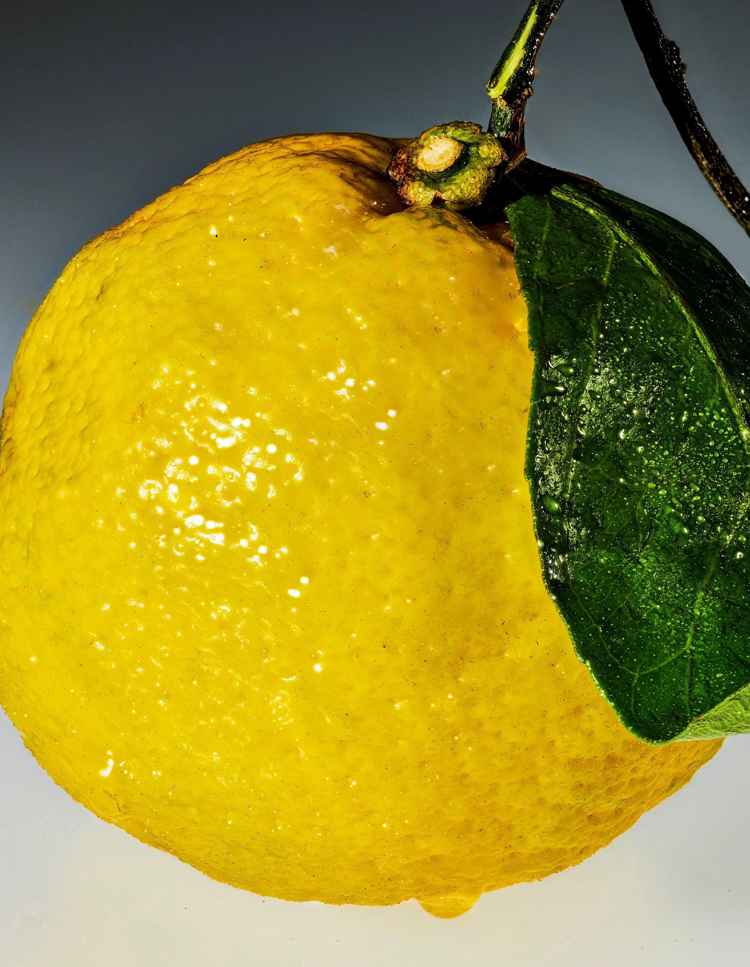 Euphoria Bundle: Lychee Dragon (Value Pack) + Sour Yuzu (Mini) - Image 3