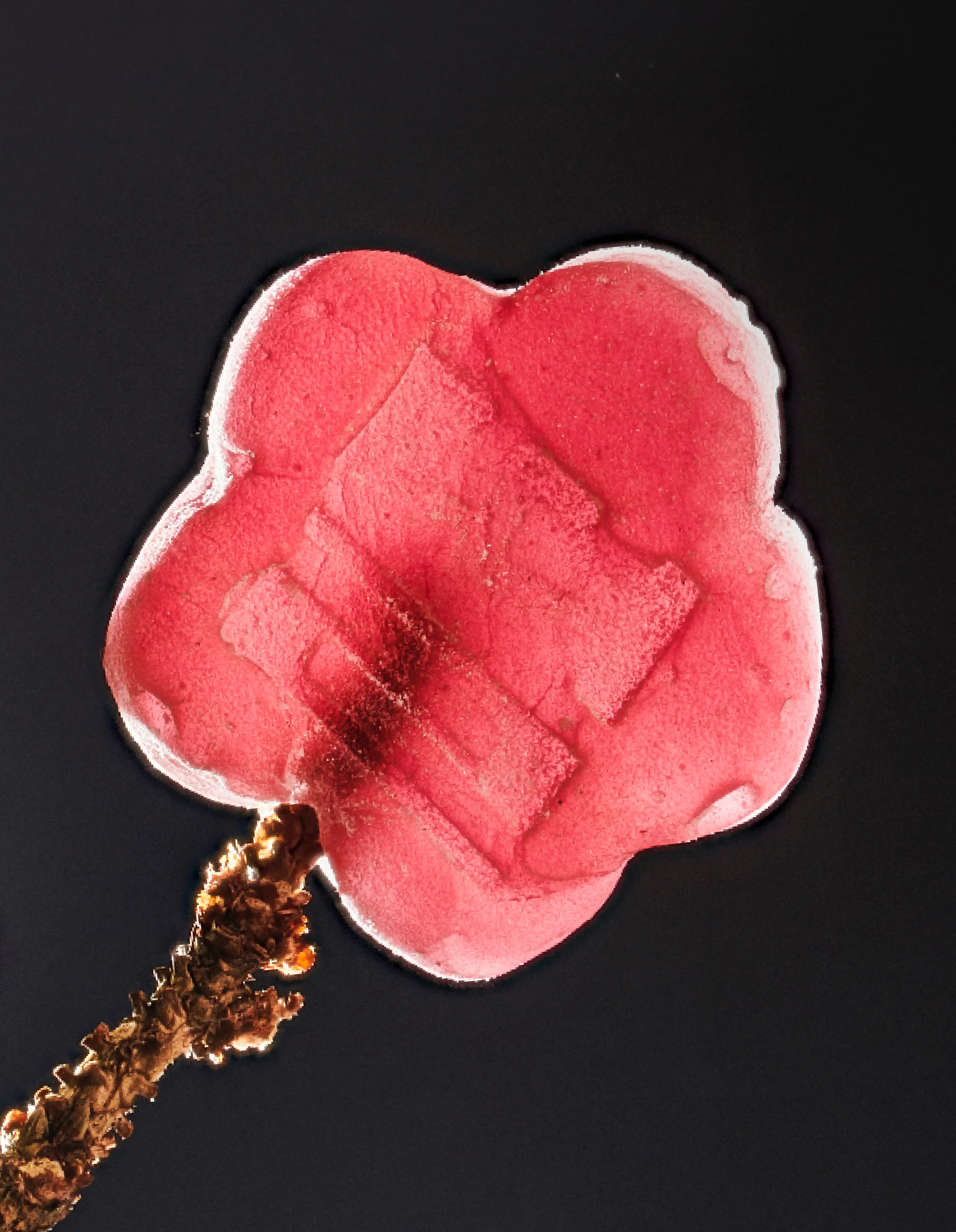 Lychee Dragon (5mg) Mini - Image 3