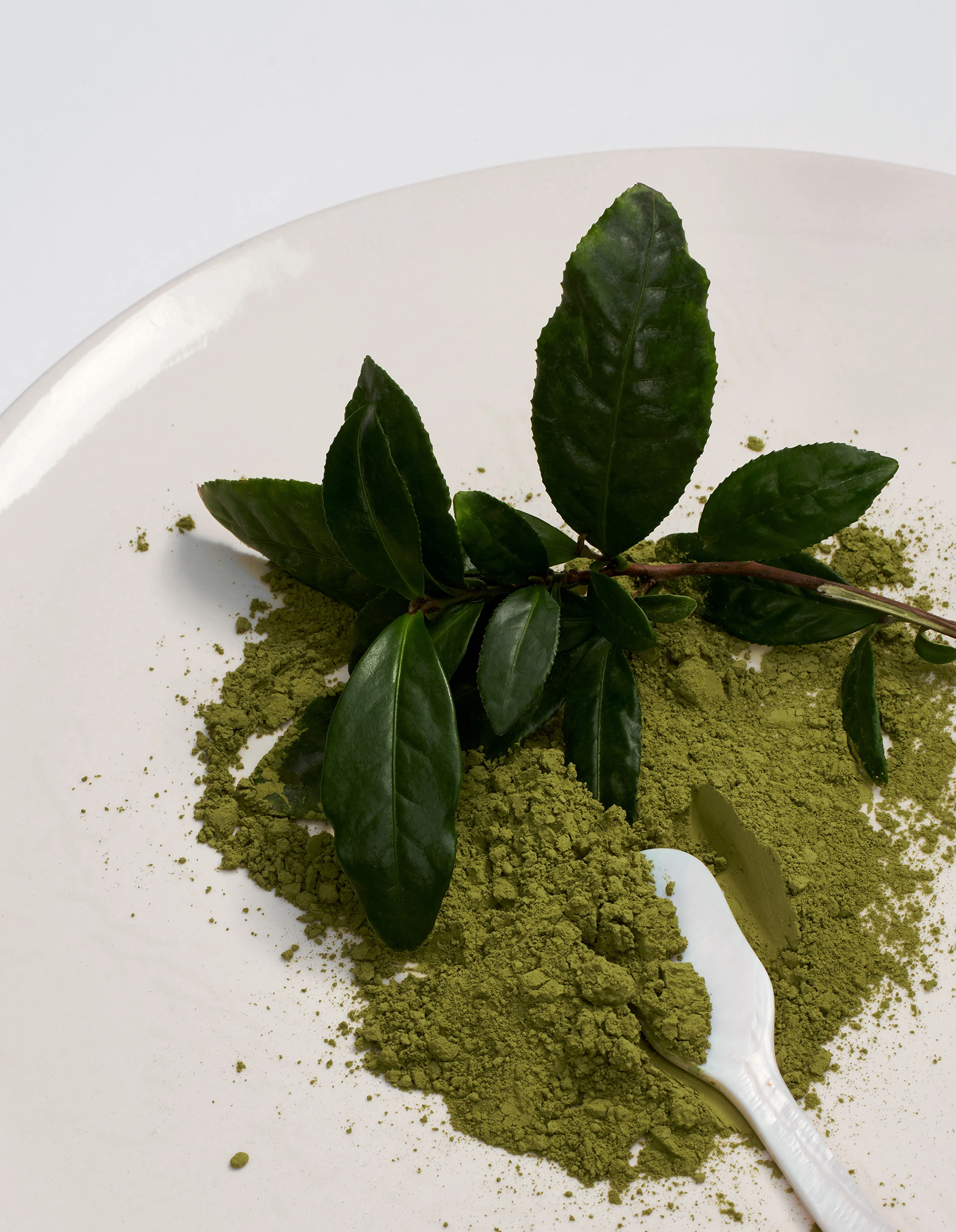 Matcha Mini - Image 4