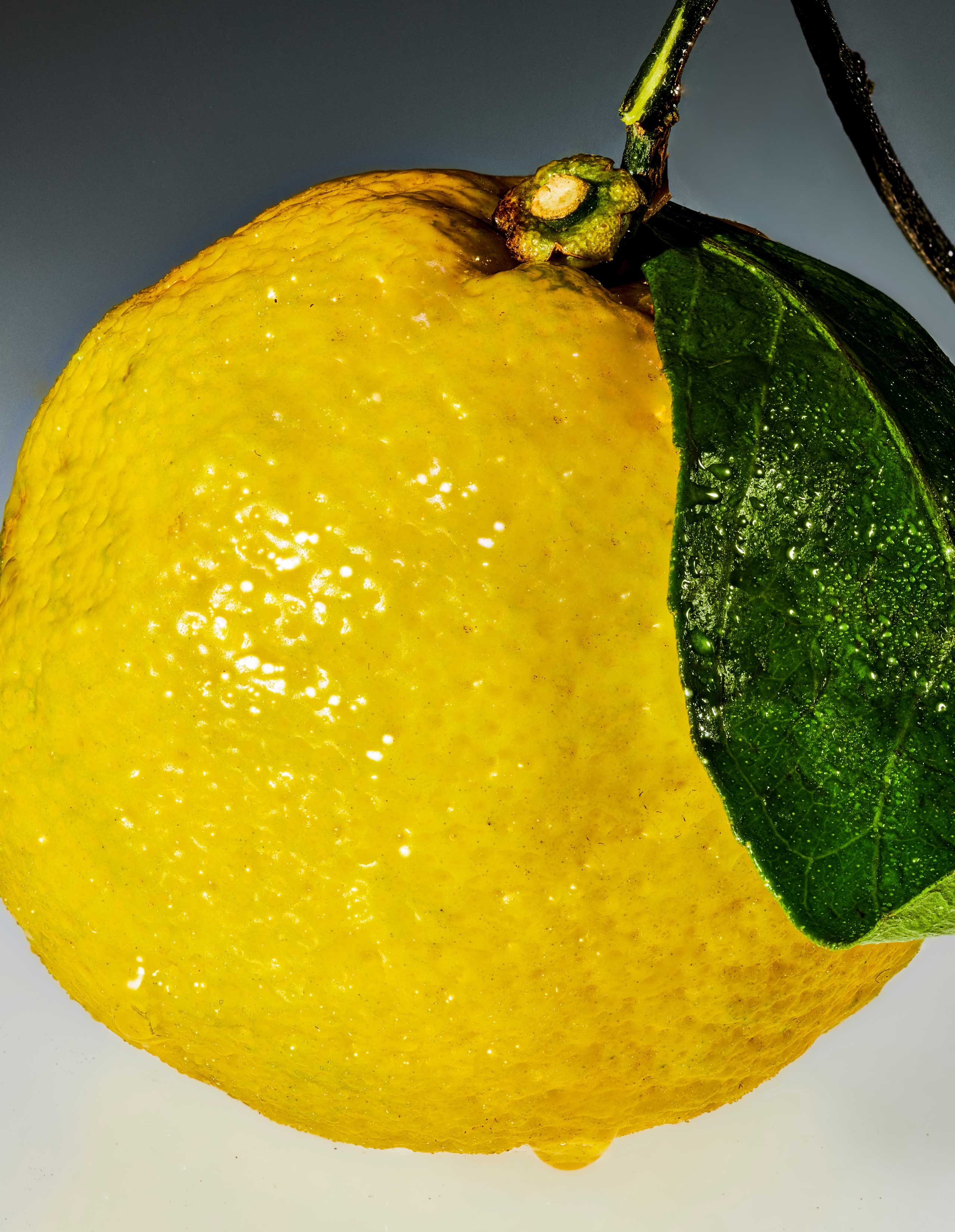 Sour Yuzu (10mg) Mini - Image 4