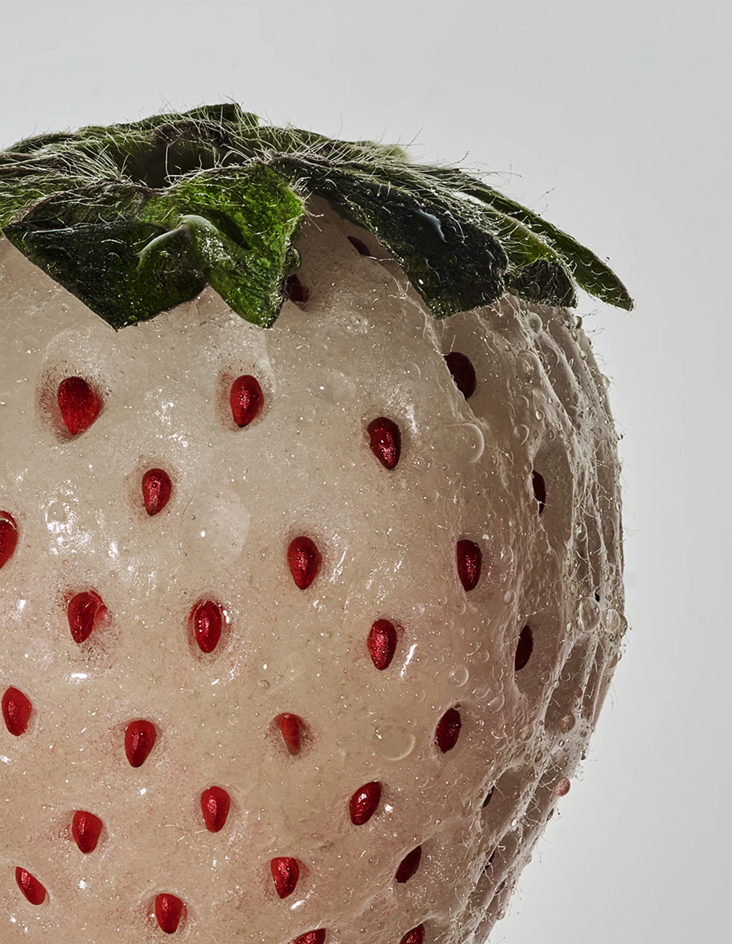 White Strawberry Value Pack - Image 4